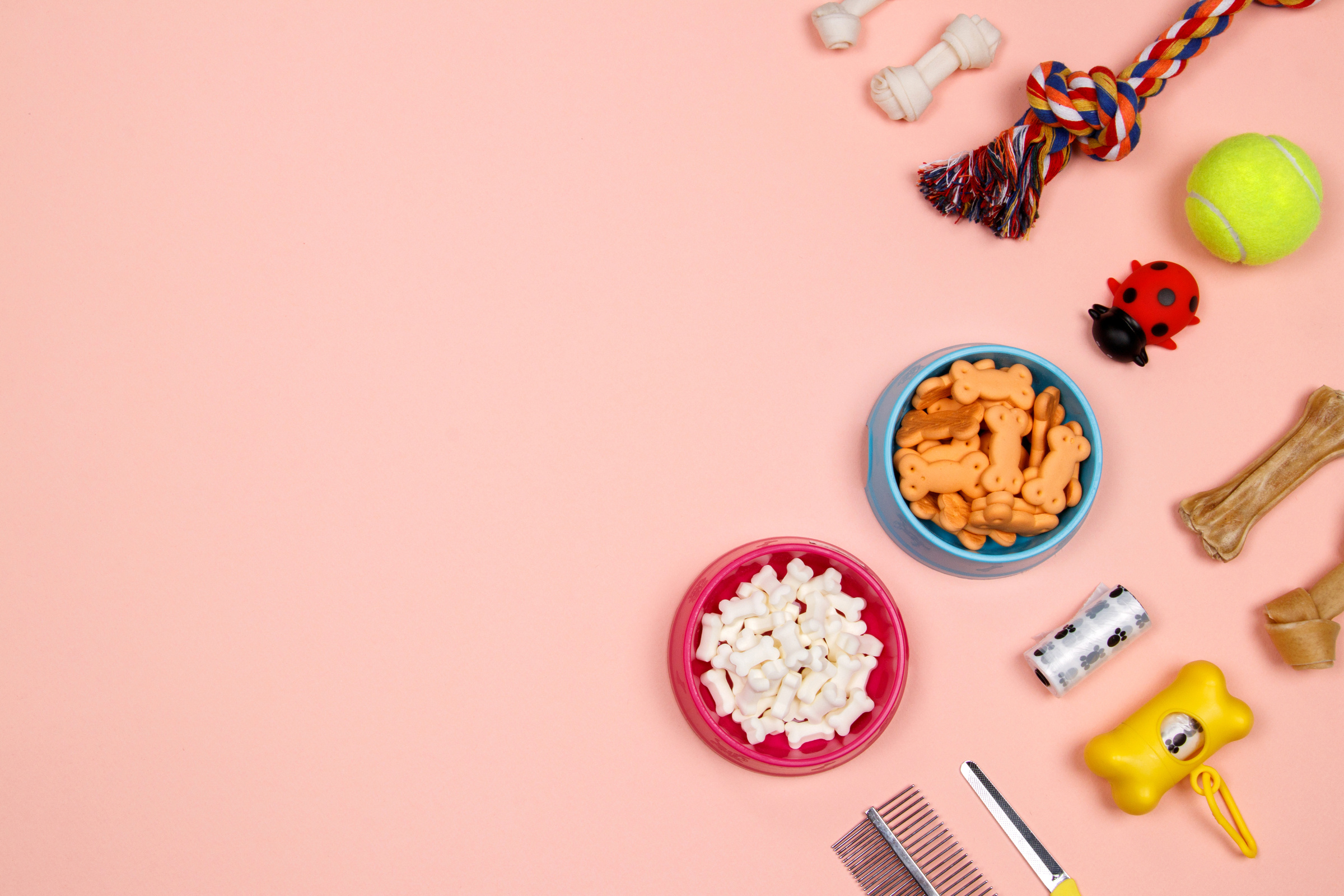 Dog accessories, food and toy on pink background. Flat lay. Top view.